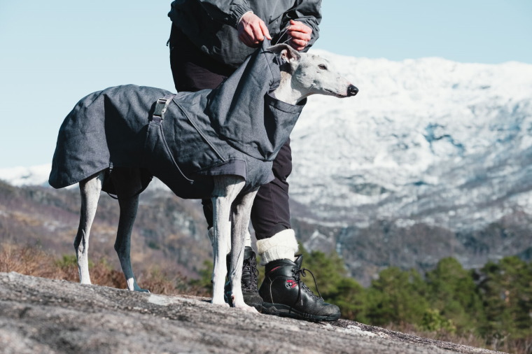 フィンランドのドッグブランド Hurtta コート ドッグウェア フルッタ 犬用品 ドッグジャケット エクスペディションパーカー 大型犬用 １ｓｔｄｏｇｃａｆｅ クーポン対象外 高価値セリー 日本人気メーカー直販超絶 新しいスタイルメーカー直販 新しい