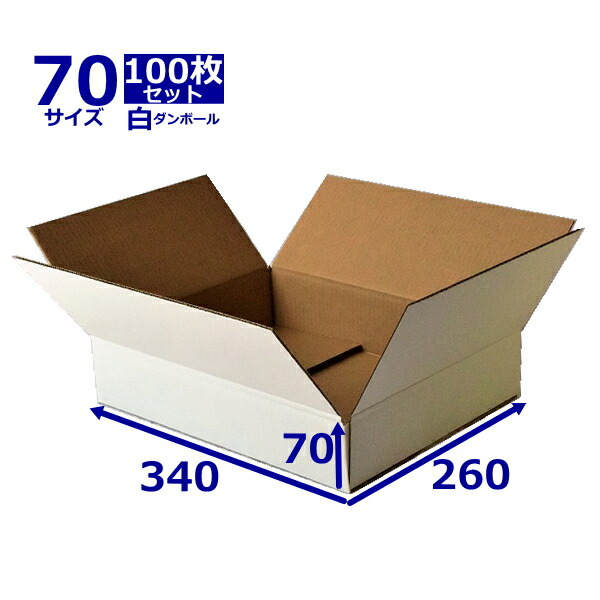 ダンボール箱 ネットショップ 日用品雑貨 文房具 手芸 70 80サイズ 白 無地 100枚 アパレル ダンボール箱 宅配 送料無料 日本製 生活雑貨 オークション 段ボール 小物用 梱包資材 梱包用 薄型素材 梱包用 白 無地 100枚 アパレル ダンボール 通販用 小物用 引越し