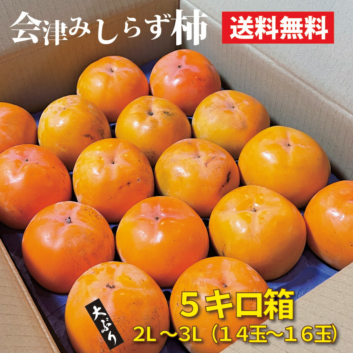 楽天市場会津みしらず柿 5キロ箱 大ぶり2L3Lサイズ 14玉16玉 会津産 渋抜き済み会津ブランド館 楽天市場店