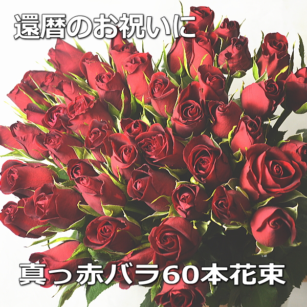 16時まであす楽ok 薔薇赤バラ花束60本入学祝い還暦母の日 あす楽対応 あす楽お供え 土曜営業 楽ギフ 包装 楽ギフ メッセ入力 お誕生日祝い入学祝い快気祝い出産祝い送料込 激安セール Ydkg Smtb あす楽 土曜営業 赤薔薇即日発送即納 バラ