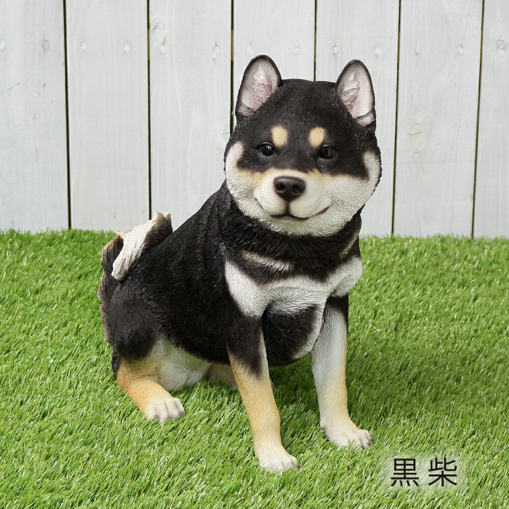 4月15日再入荷 シバ犬 Qy 53bk 40cm 家庭菜園 アニマル 可愛い黒柴犬 アニマル おしゃれなオブジェ オーナメント いぬグッズ バラ 犬 置物 インテリア 庭 玄関先 ガーデニング ガーデン 雑貨 ナチュラル雑貨 紅石