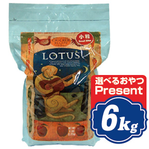 ロータス アダルト 猫 Solvida チキンレシピ ペット ペットグッズ ナチュラルチョイス 小粒 6kg Lotus ドッグフード フィッシュ4 ジウィピーク Lotus 正規品 ペットフード Relish ジウィピーク 6kg ロイヤルカナン 選べるおやつプレゼント Lotus ロータス