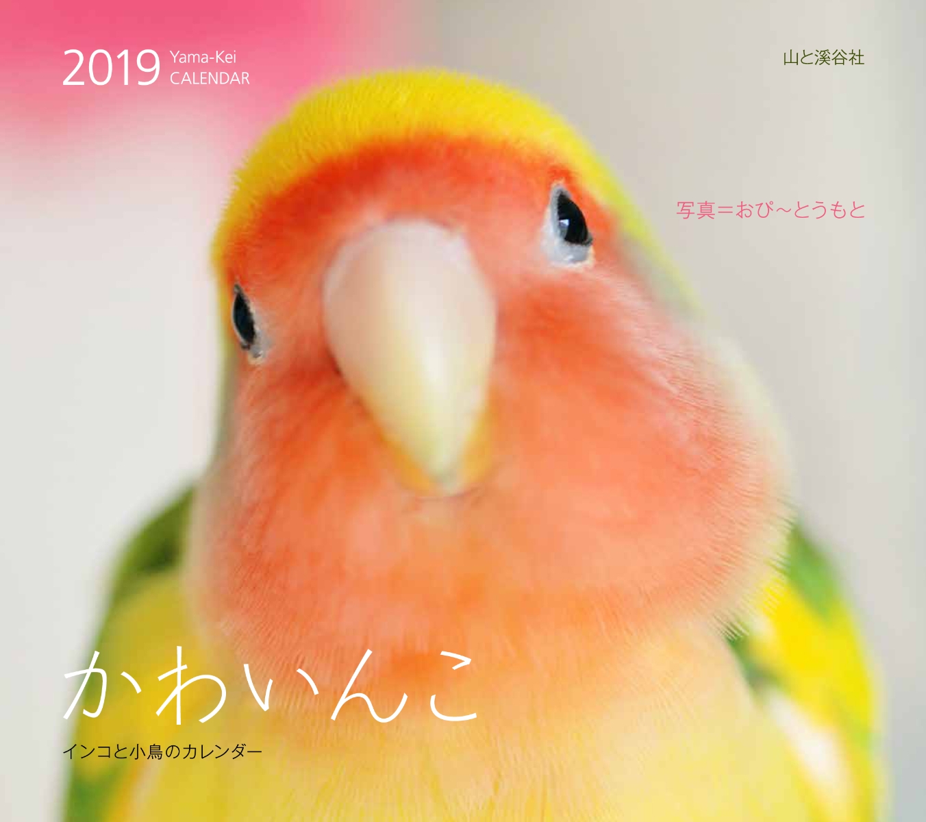 インコの画像 原寸画像検索