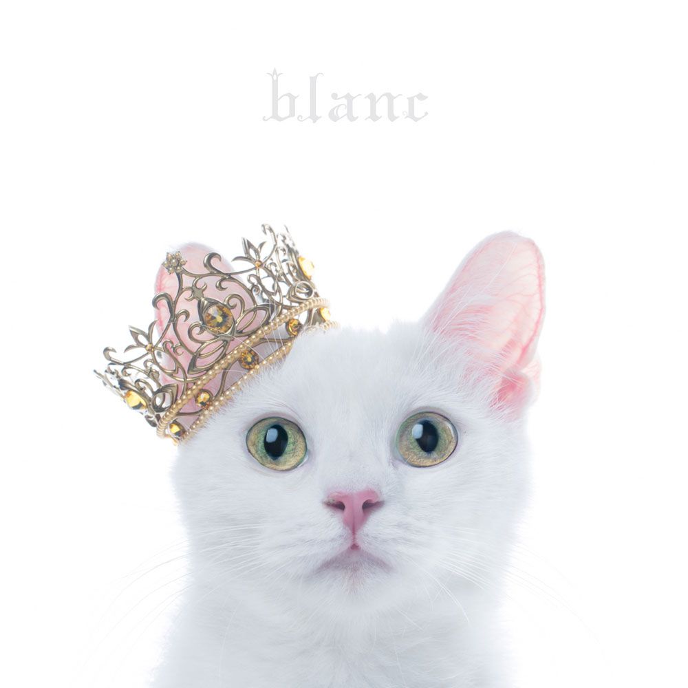 楽天ブックス Best Selection ”blanc” Aimer 4547366299816 Cd