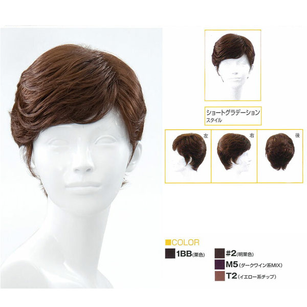 大注目 レオンカ 業務用 ウィッグ 通販 プロ愛用 Leonka 購入 Wig レオンカ Wig フルウイッグ 美容室 バッグ 小物 ブランド雑貨 業務用 フェミーナシリーズ F 301 販売 T2 イエロー系チップ 業務用 かつら ウィッグ ウイッグ つけ毛 女性用 医療用