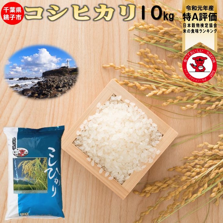 ふるさと納税 特a評価 令和元年産 千葉県産コシヒカリ10kg 5kg 2 お米マイスター厳選 ご希望時期に発送 白米 令和元年9月後半 令和2年9月初旬頃順次発送予定 千葉県銚子市