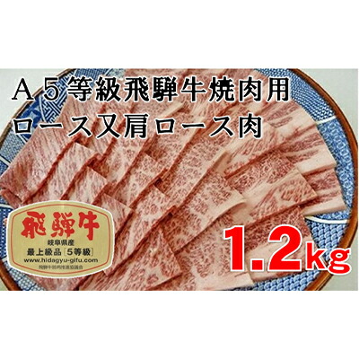 ふるさと納税 牛肉 食品 A5等級飛騨牛焼キ肉用1 2kg A5等級飛騨牛焼キ肉用1 2kg ふるさと納税 ロース又は肩ロース肉 精肉 肉加工品 ロース お肉 牛肉 焼肉 バーベキュー 岐阜県池田町 岐阜県池田町 通販人気セールの価格は安くの