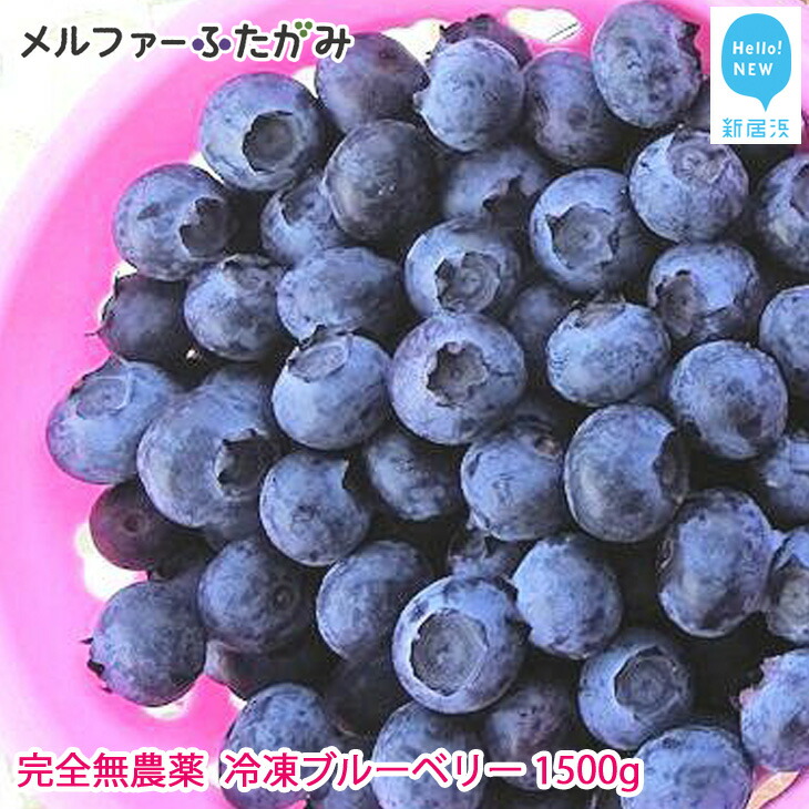 先行予約 完全無農薬栽培 完熟ブルーベリー1500g 冷凍 毎年人気の冷凍ブルーベリーです ふるさと納税 愛媛県新居浜市愛媛県新居浜市 えひめけん フルーツ 果物 にいはまし ふるさと納税