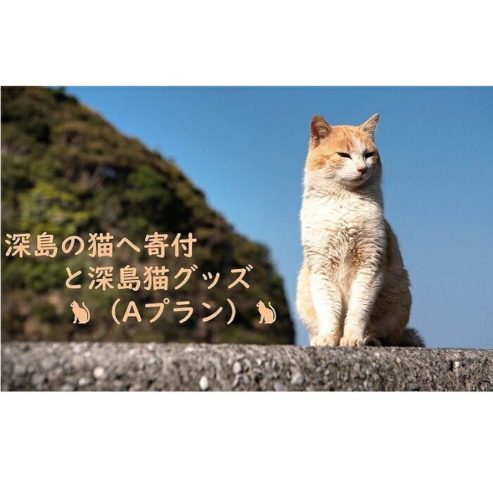 ふるさと納税 でぃーぷまりん ふるさと納税 猫用品 その他 深島の猫へ寄付と深島猫グッズ Aプラン 大分県佐伯市大分県佐伯市 人気特価 猫用品 Mariomattera Com