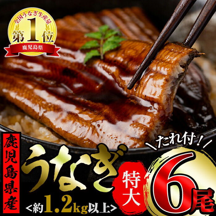 独創的 ふるさと納税 うなぎ生産量日本一の鹿児島県 東串良町のうなぎ 蒲焼特大 200g 230g 6尾 計1 2kg以上 国産で安心 豊富な地下水で育ったウナギの蒲焼き その他 タレ付き 牧原養鰻 45355 鹿児島県東串良町ミネラルたっぷりの豊富な地下水で育てられ