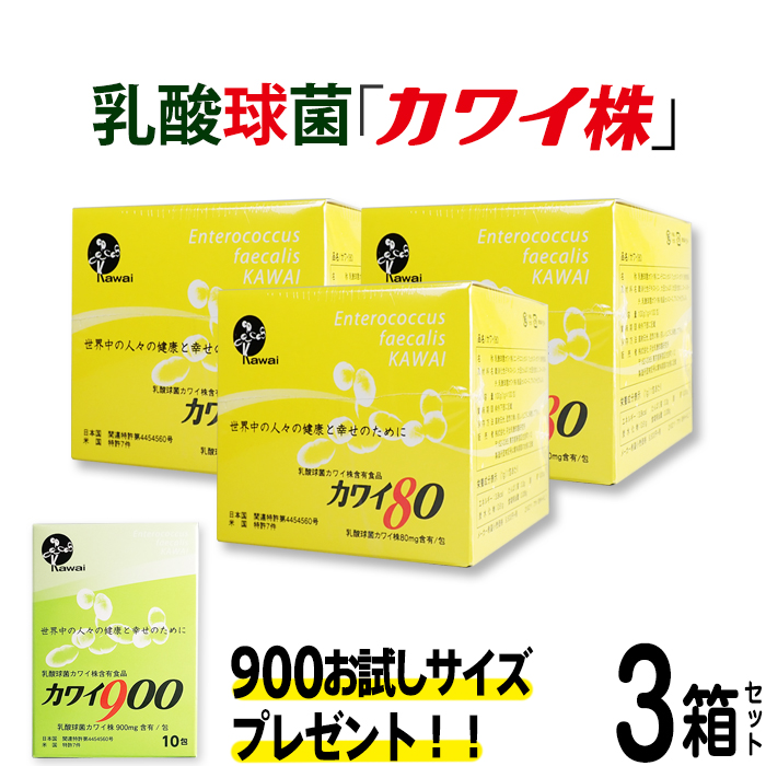 ランキング1位送料無料キャンペーン 正規代理店 カワイ80 Mg カワイ900 ３箱セット プレゼント付き 珪藻土 カワイ900 お試しサイズ サプリメント カワイ株 乳酸菌 サプリ サプリメント 粉末 乳酸球菌カワイ株含有食品 Fuwalu フワル お子様 若年層の方の予防の