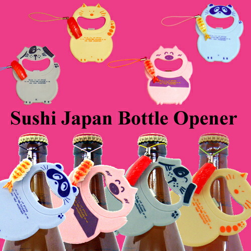 specialty store of japanese gift: sushi magnet  !