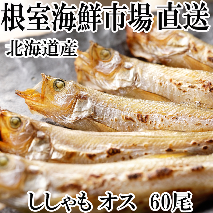 A 食品 魚介類 水産加工品 シシャモ ししゃも オス 60尾 ふるさと納税 ししゃも オス 60尾 A 原価割れsale メーカー直売