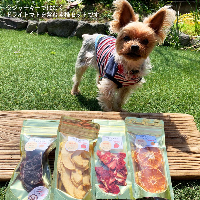 ふるさと納税 おやつ 犬の無添加おやつ お砂糖不使用ドライフルーツ4種 2セット 吉野ケ里まちづくり会 Fbk008 佐賀県吉野ヶ里町飼い主さんとワンちゃんが一緒に食べられるおやつ 大感謝上品セールの数量は多いの