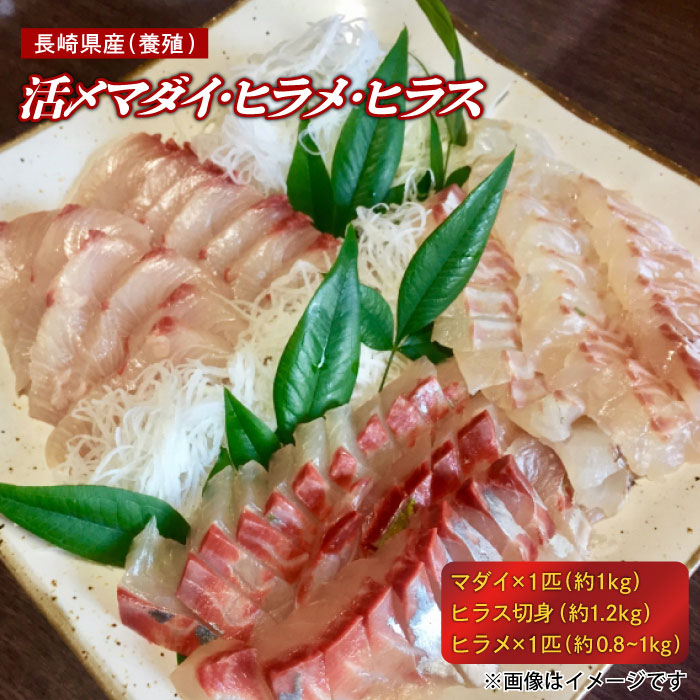 海の宝箱 セット 詰め合わせ 魚介類 水産加工品 Eac015 食品 長崎県産 養殖 活〆マダイ 活〆ヒラメ 活〆ヒラス 大村湾漁協 ふるさと納税 海の宝箱 長崎県産 養殖 活〆マダイ 活〆ヒラメ 活〆ヒラス 大村湾漁協 Eac015 安価返品ok 最大の割引