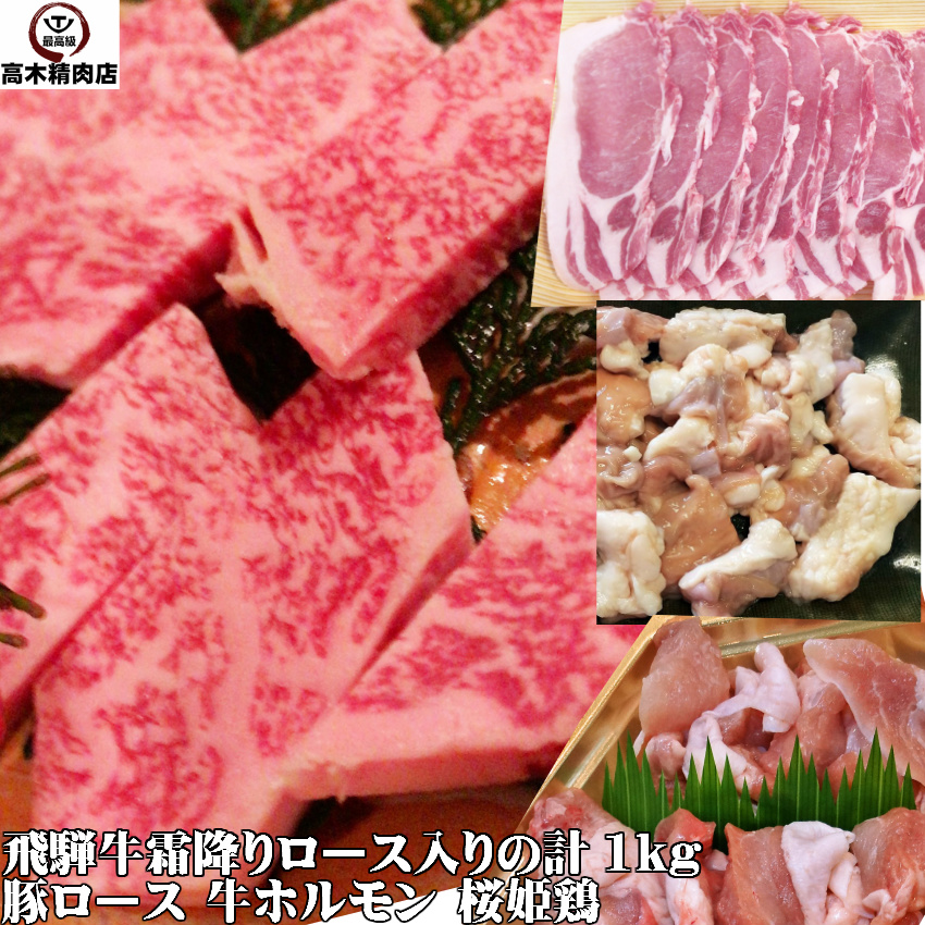 飛騨牛ロース入焼肉セット １kg 送料無料 バーベキュー 高木精肉店 牛肉 豚肉 鶏肉 牛ホルモン 飛騨牛 父の日 豚肉 お中元 お歳暮 飛騨牛 高木 精肉店たっぷり一キロ 霜降りロースでとろける焼肉