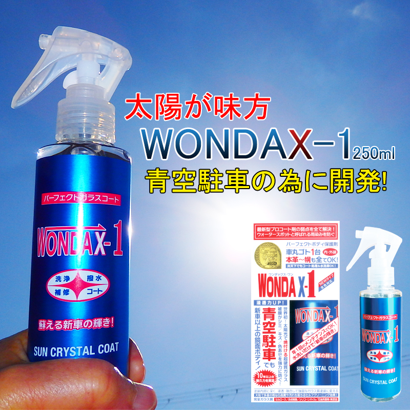 Wondax 1 ワンダックス ワンダックスワン ガラスコーティング剤 コート剤 250ml 250ml ワンダックス コート剤 ガラスコート ガラスコート剤 ノンシリコン プロ仕様 撥水 車 コーティング ボディコート ノンシリコーン ワックス 車コーティング剤 黄砂 対策 サンプル