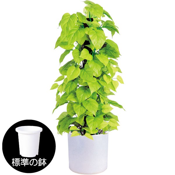 新品激安超安値の人工観葉植物 全高90cm ライムポトス タワー ヘゴ 造花 オウゴンカズラ 人工樹木 造花 葉材 リーフ フェイクグリーン インテリアグリーン オブジェ ディスプレイ 装飾 グリーンランドフレッシュで爽快なグリーンライフを楽しめるポトスの人工観葉植物