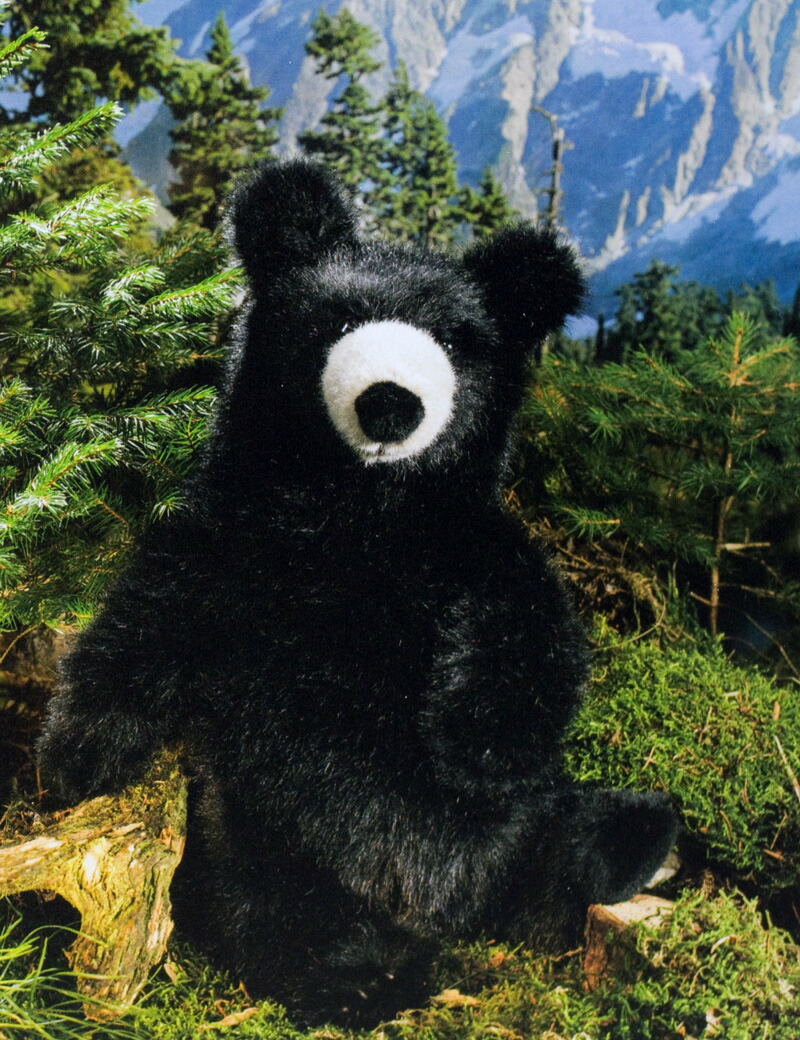 bear(small)38cm kosen(k瑞尔公司)/熊/kuma/玩具熊