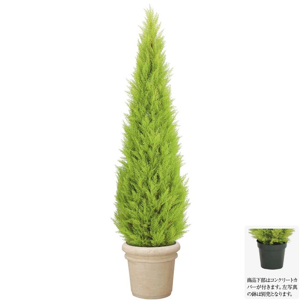 フェイクグリーン オンライン花 パキラ 大型 屋外対応 180cmゴールドクレストツリー 造花 観葉植物 造花 人工観葉植物 光触媒 Ct触媒 庭 ガーデン G L オフィス 消臭 抗菌 おすすめ おしゃれ 癒しのグリーンでいつでも空気すっきり