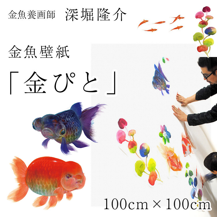 プロデュース 自分で貼れて 隆介 Riusuke金魚壁紙 金ぴと 隆介 剥がせる ステッカーのような壁紙 壁紙屋本舗 カベガミヤホンポ Fukahori お部屋金魚水槽化計画貼って剥がせる壁紙 深堀 Mytourism Pk