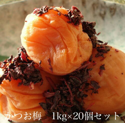 かつお梅1kg 梅干し その他 個セット 和歌山県産 自家農園梅干 小竹農園 紀州産南高梅 かつおの風味が広がる上品な味わい