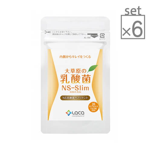 6袋セット 32粒 Vc25 大草原の乳酸菌 Ns Slim Ns乳酸菌 プラスナノhq 葉酸プラス 発酵 乳酸菌 サプリ サプリメント 腸内フローラ ラクトバチルス プロバイオティクス Nsスリム ダイエット おすすめ 敏感肌コスメセレクトショップns乳酸菌サプリメント