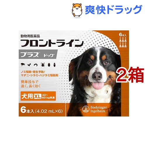 動物用医薬品 フロントラインプラス 犬用 Xl 40 60kg未満 6本入 2箱セット リアップ フロントラインプラス 犬用 爽快ドラッグ フロントラインプラス 健康食品 動物用医薬品 フロントラインプラス 犬用 Xl 40 60kg未満交換無料高評価 新しく着き 超大特価