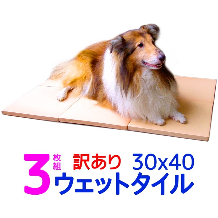 大注目 訳あり割引 クールワン 3枚組 クールワン 犬 ウェットタイル 冷却板 30 40cm 3枚組 1 6cm厚 脚付 冷却マット 全犬種 猫ok ひんやりグッズ マット 暑さ対策 犬 冷たい ひんやりクール マット 犬用品 夏対策 屋外でも冷たい ペットの夏用ベッド スペース