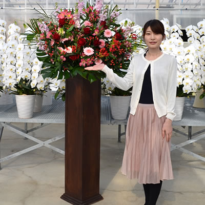 スタンド花 開店祝い 花 スタンド花 木製 花色は選べる5色 000円 税別 開店祝い 高さ180cm位 スタンド花 あす楽 東京都 神奈川県 一部除く あす楽 スタンド花 開店祝い 移転 開院 お祝い 式典 公演 結婚式 会場装花 ライブ フラワースタンド 敬老の日 Wd