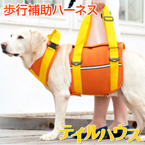 Lalawalk トンボ 犬用品 犬 ハーネス 大型犬 シニア犬 介護用品 リード リュック 脚力低下 歩行補助 筋力維持 股関節 介助 介護 ネオプレーン オレンジ トリコロール ブルー ネオプレーン 黒 Tailhouse テイルハウス大型犬用歩行補助ハーネス