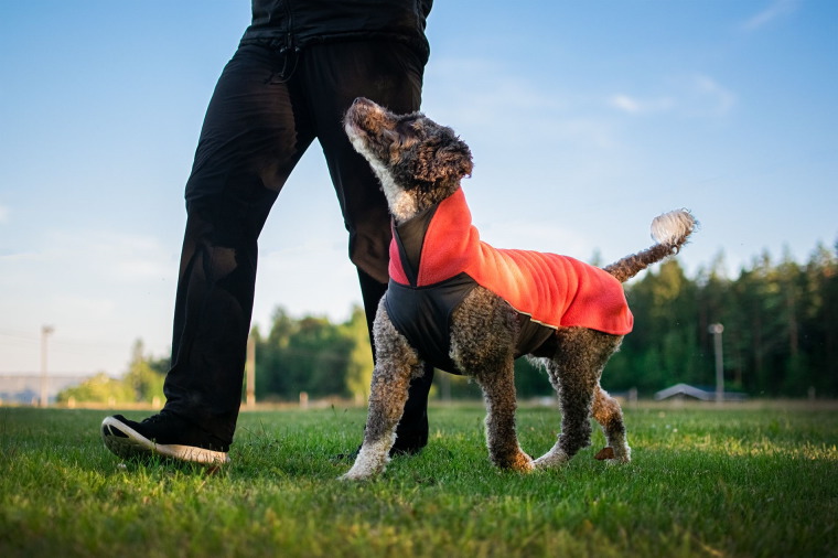 ポイント5倍 犬用品 フィンランドのドッグブランド Pomppa ドッグウェア ポムッパ ドッグフリースセーター Jumppa Pomppa 中 大型犬用 つむぐデザイン