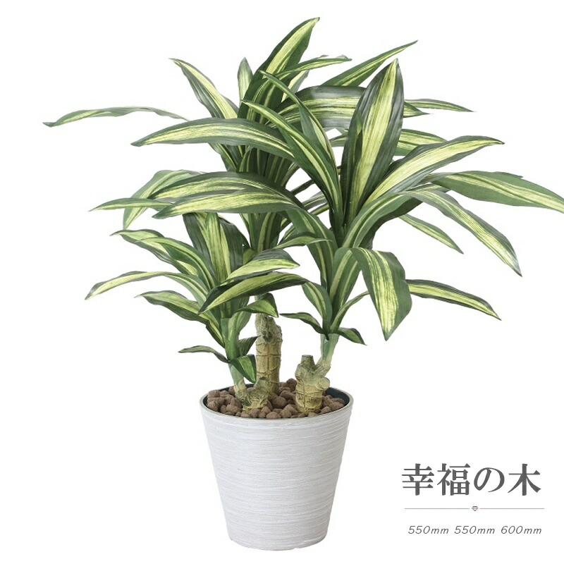 光触媒 パーツ 人工観葉植物 人工観葉植物 ゴールドクレスト 開店 アクセサリー 光の楽園 観葉植物 造花 おしゃれ ハンドメイド 造花 観葉植物 葉っぱ 造花 パーツ ギフト 光触媒 パーツ ねこ耳カチューシャ お祝い プランター 開店 花 観葉植物 開業 おしゃれ おすすめ