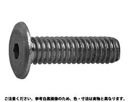 六角穴付き スリムヘッド小ねじ レッドブル 処理 Bk 材質 規格 5 X 10 10 入数500 001 ネジ 釘 金属素材 001 ワールドデポ