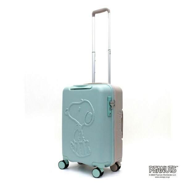 限定 プロテカ スヌーピー  PEANUTS  36L 機内持込可 ace438-main.jpg