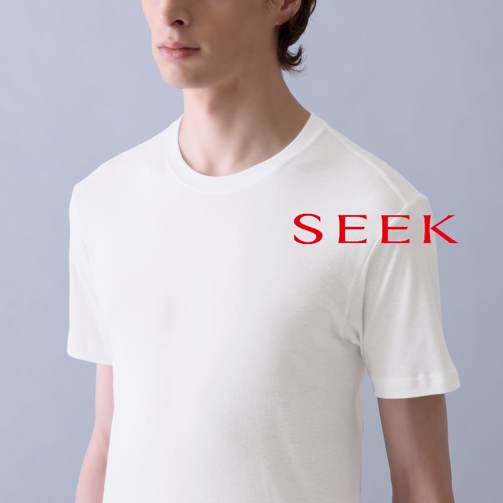 SEEK シーク【プレミアムライン完全無縫製】VネックTシャツLサイズ2枚 VネックTシャツ | SEEK (Men)/シーク | 三越伊勢丹オンライン
