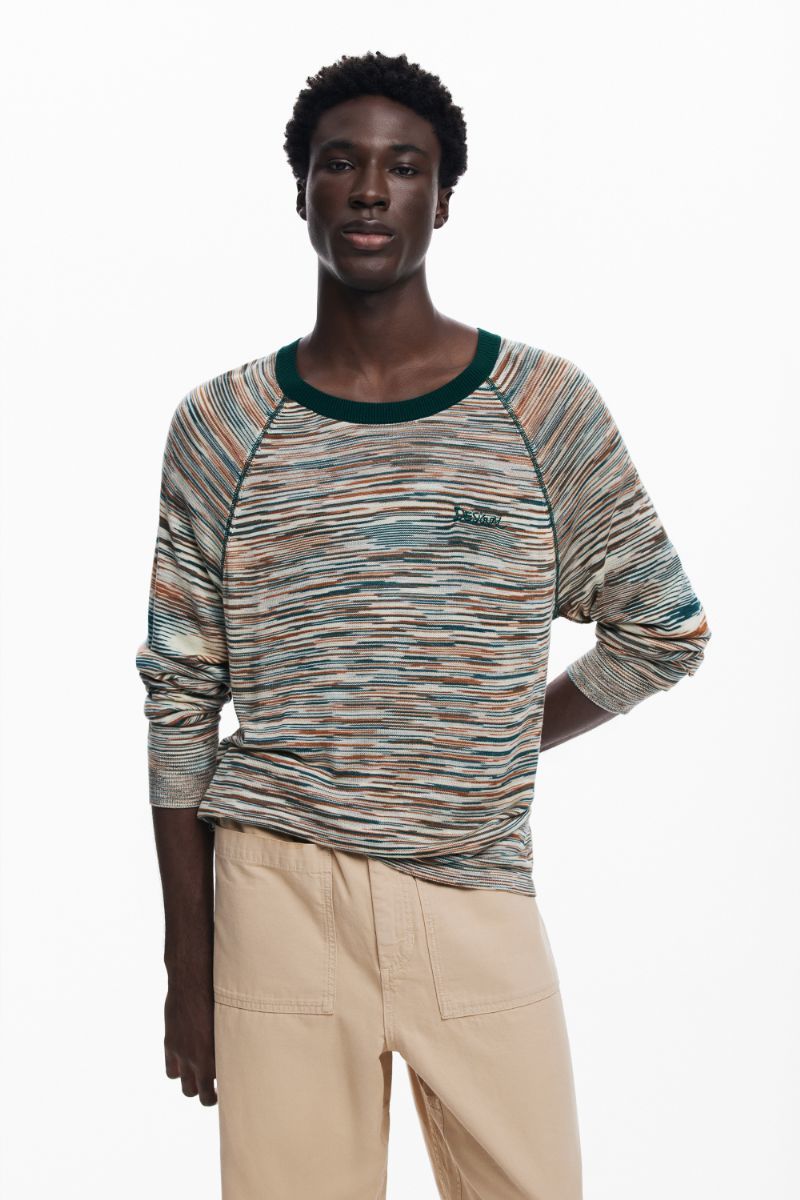 ALASKA Tシャツロングスリーブ／デシグアル（Desigual）
