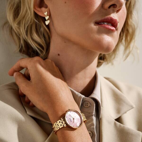 スカーゲン 腕時計 レディース アナログ ステンレス SKW3165／スカーゲン（SKAGEN）