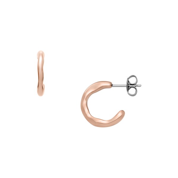 スカーゲン アクセサリー レディース ピアス SKJ1873791／スカーゲン（SKAGEN）