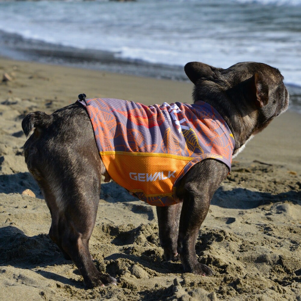 も*ち様 ALPHAICON 犬服 4L サマークーリングタンクトップ SUMMER COOLING TANKTOP サマークーリングタンクトップ MACARON