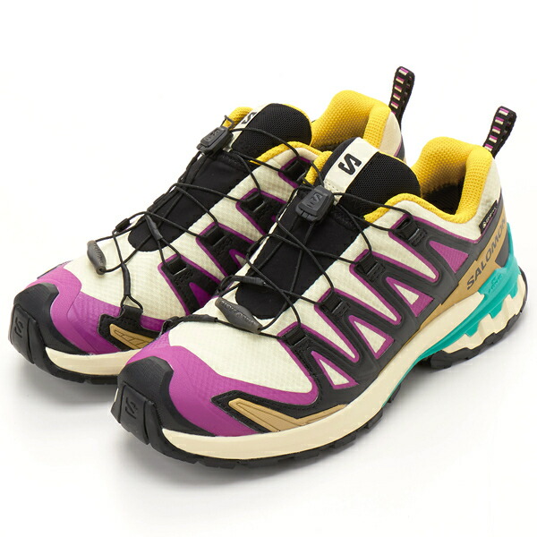 SALOMON/サロモン/XA PRO 3D V9 GTX W/サロモン(SALOMON)