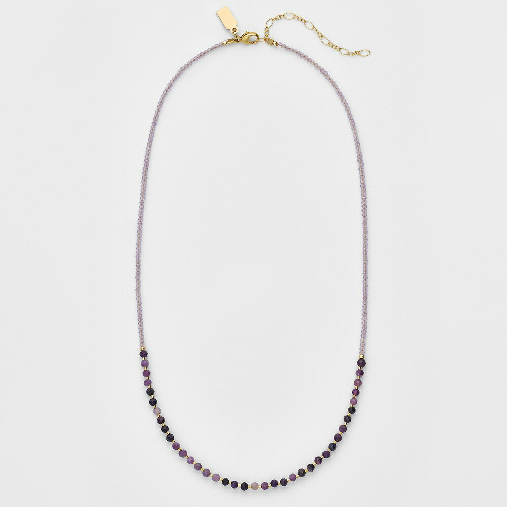 ＜Eva Hanusova for agete（エヴァハヌソヴァフォーアガット）＞ネックレス／アガット（agete） 27,170円