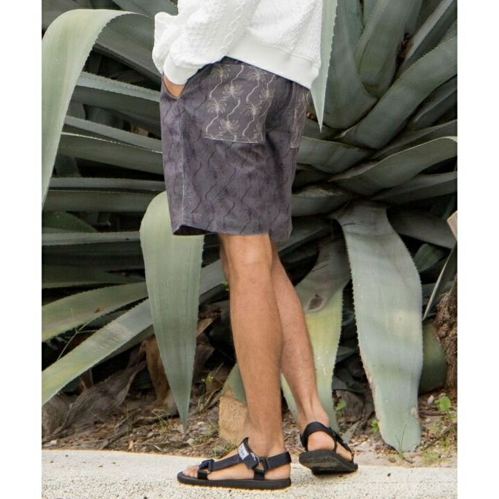 【カヒコ】アンダーセンメンズハーフパンツ【SURF＆Palms】／カヒコ（Kahiko）