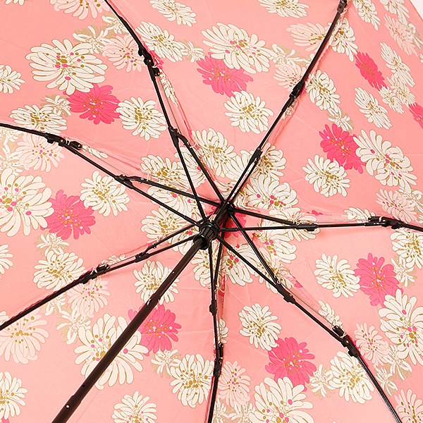 端折り傘 3ステップ 折畳み ミニ 保障ロクロ 水呑みフィラメント骨組織様式 クリザンテーム 御花 お花 鱸アンドジョー 雑貨 Paul Joe Msgtours Com