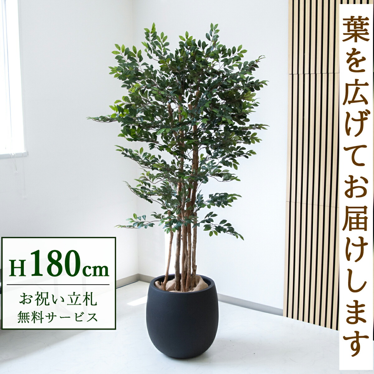 フェイクグリーン 観葉植物 人工観葉植物 トネリコツリー 大型 180cm 鉢付き / 立札無料 送料無料 法人・開店祝い 店舗・オフィス装飾 空間演出 造花/PG146-BAL42BK