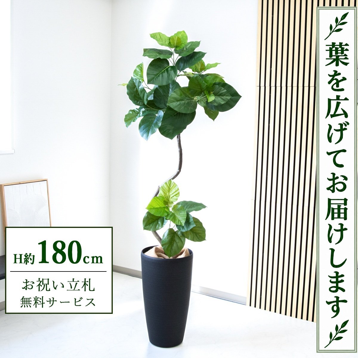フェイクグリーン 観葉植物 人工観葉植物 フィカス ウンベラータ 大型 180cm 鉢付き / 立札無料 送料無料 法人・開店祝い 店舗・オフィス装飾 空間演出 造花/PG150-ZAG32BK｜造花と人工観葉の店舗装飾 PP-SHOP