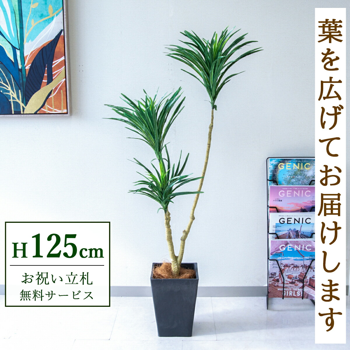 フェイクグリーン 観葉植物 人工観葉植物 ドラセナ 125cm 鉢付き / 立札無料 送料無料 法人・開店祝い 店舗・オフィス装飾 空間演出 造花/PG173-Q20BK