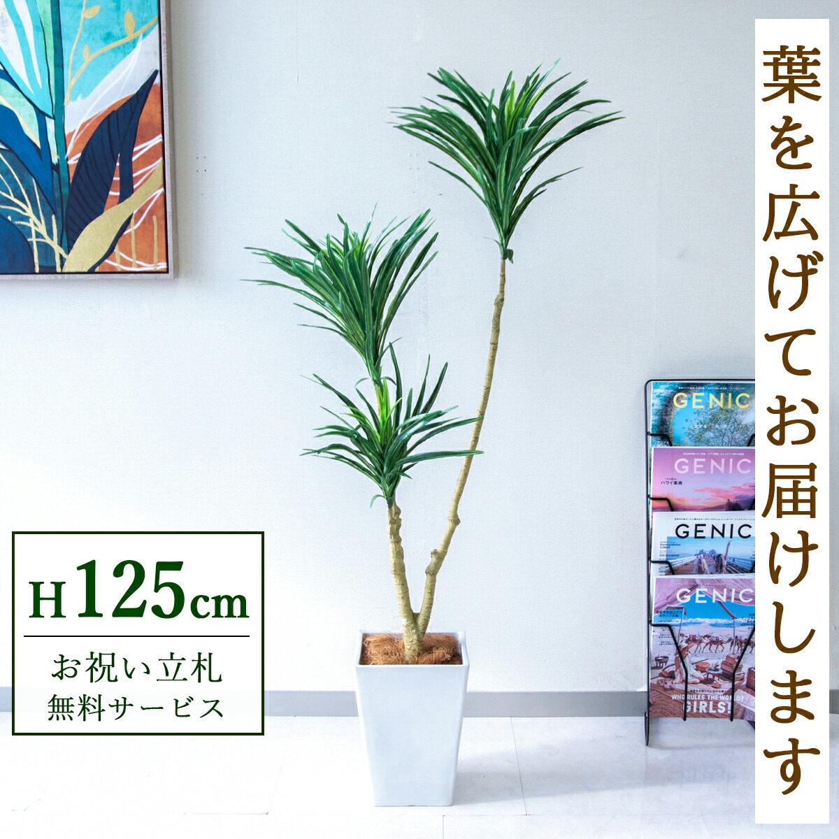 フェイクグリーン 観葉植物 人工観葉植物 ドラセナ 125cm 鉢付き / 立札無料 送料無料 法人・開店祝い 店舗・オフィス装飾 空間演出 造花/PG173-Q20WH|造花と人工観葉の店舗装飾 PP-SHOP