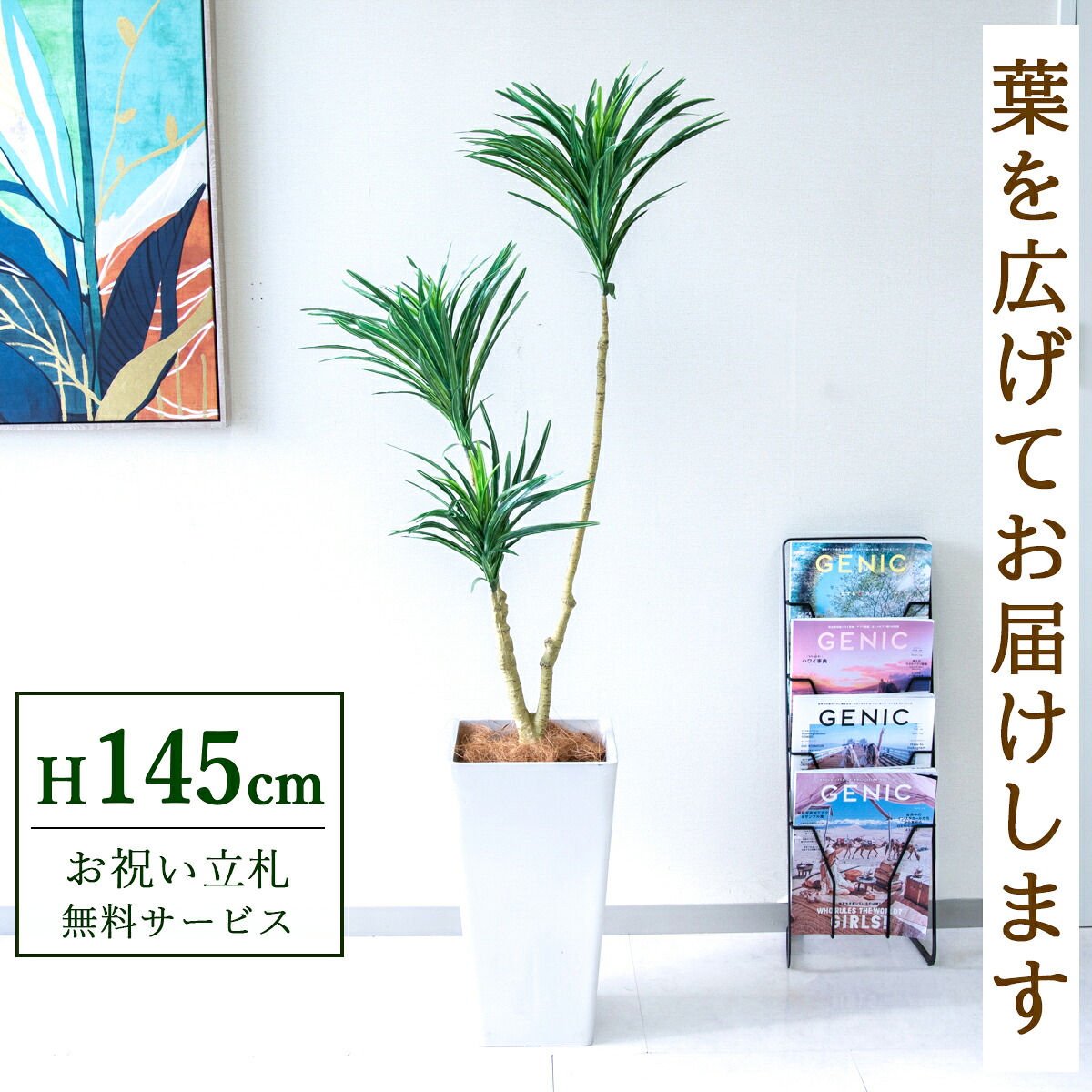 フェイクグリーン 観葉植物 人工観葉植物 ドラセナ 145cm 鉢付き / 立札無料 送料無料 法人・開店祝い 店舗・オフィス装飾 空間演出 造花/PG173-Q25WH