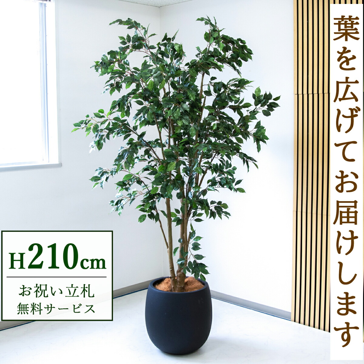 フェイクグリーン 観葉植物 人工観葉植物 フィカス ベンジャミン 大型 210cm 鉢付き / 立札無料 送料無料 法人・開店祝い 店舗・オフィス装飾 空間演出 造花/PG1005-BAL42BK